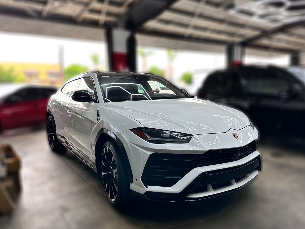Lamborghini Urus Window Tint Los Angeles